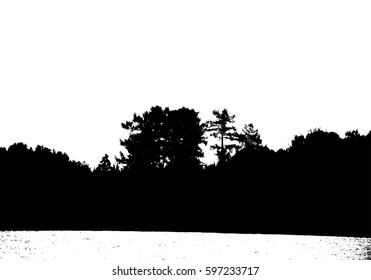 Black forest silhouette. Isolated on white background. Vector illustration for your design