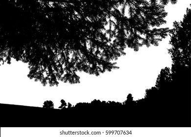 Black forest silhouette. Isolated on white background. Vector illustration for your design