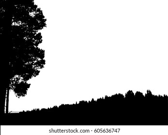 Black forest silhouette. Isolated on white background. Vector illustration for your design
