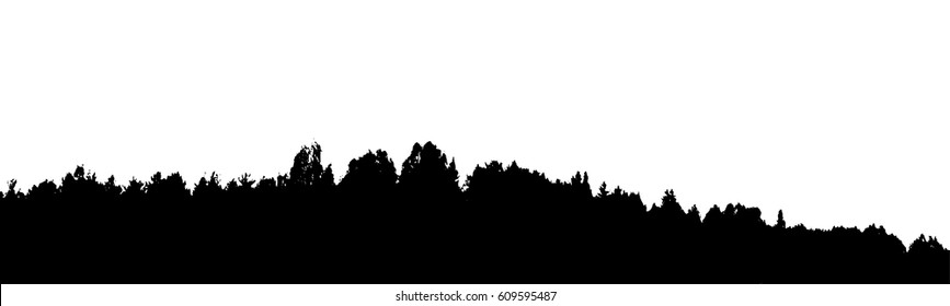 Black forest silhouette. Isolated on white background. Vector illustration for your design
