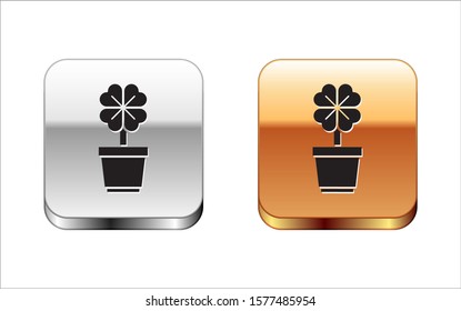 Black Four leaf clover in pot icon isolated on white background. Happy Saint Patrick day. Silver-gold square button. Vector Illustration