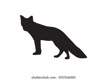 black Fox icon on the background, vector illustration