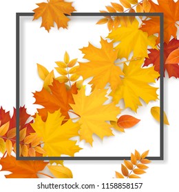 Black frame with autumn fallen leaves on white background. Background for seasonal sale offer or design element banner.