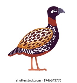 Black francolin or Black Partridge is a gamebird in the pheasant family Phasianidae of the order Galliformes, gallinaceous birds. Cartoon, flat character of ornithology, vector illustration isolated.