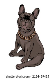 Black french bulldog with golden chain. Stylish image to print on any surface