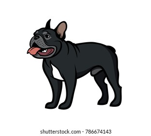 Black French bulldog - isolated vector illustration