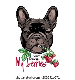 Black French Bulldog with a sprig of strawberries. Don't touch my berries illustration. Stylish image for printing on any surface