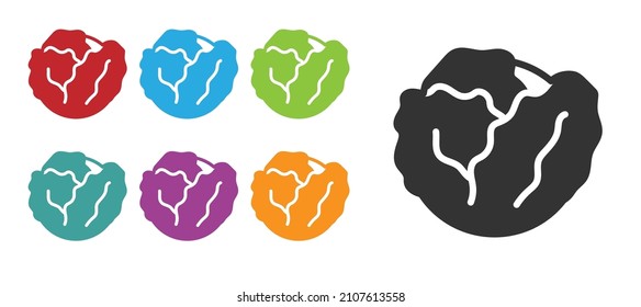 Black Fresh cabbage vegetable icon isolated on white background. Set icons colorful. Vector