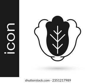 Black Fresh cabbage vegetable icon isolated on white background.  Vector