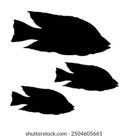 black freshwater ornamental fish silhouette vector design on a white background