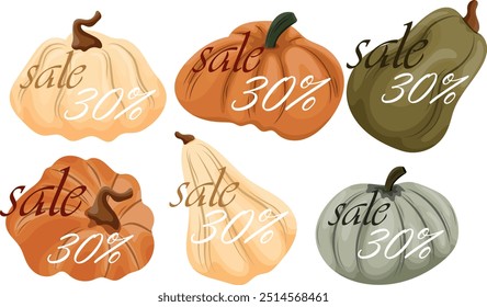 black friday autumn sale design set with various pumpkins of different colors and sizes with 30% off them, vector