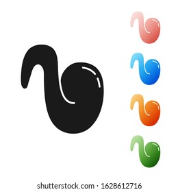 Black Fried chicken wing icon isolated on white background. Set icons colorful. Vector Illustration