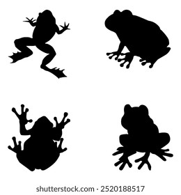 Black frog silhouette on the white background