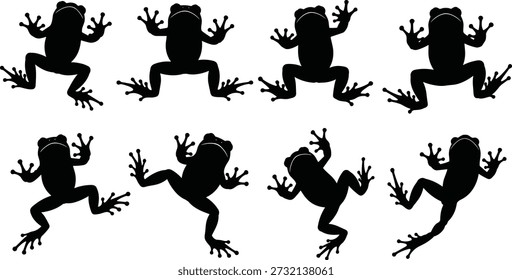 Conjunto de siluetas de rana negra que muestra poses de anfibios saltando, íconos de animales salvajes, Ilustraciones vectoriales de la naturaleza aisladas en blanco