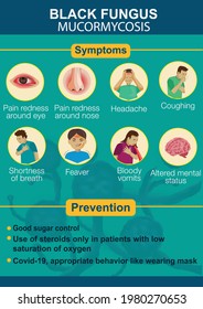 black fungus disease infographics. symptoms and prevention. vector illustration design