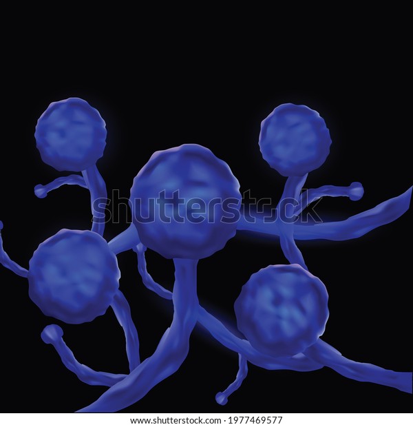 black fungus disease microscopic view. vector\
illustration design