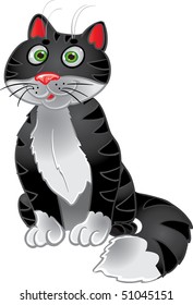 Black funny sitting cat