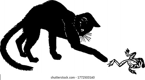 Un gato negro peludo con bigotes distintivos y una larga cola curva, jugando con una rana, un dibujo de línea vintage o una ilustración grabadora.