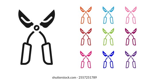 Black Gardening handmade scissors for trimming icon isolated on white background. Pruning shears with wooden handles. Set icons colorful. Vector