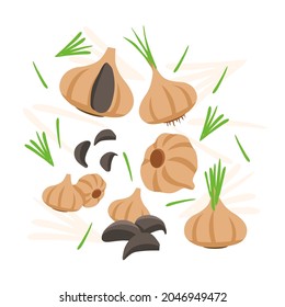 Black Garlic elements abstract vector design background for packaging design