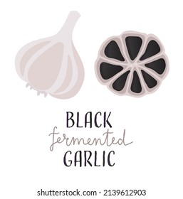 Black garlic fermented. Aged fermented garlic with lettering. Flat vector illustration 