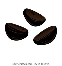 Ilustração isolada do vetor de alho preto