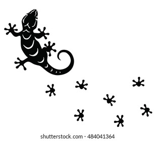 The black gecko climb up the wall and leave footprints