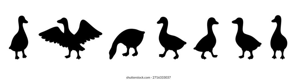 Siluetas de gansos negros en poses de aleteo, caminar y picoteo. Juego de Vector de dibujos animados limpio
