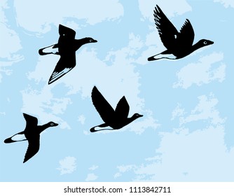 black geese vector illustration