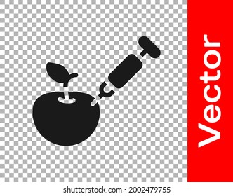 Icono de manzana modificada genéticamente negra aislado en fondo transparente. Fruto de los OGM. Jeringa inyectada a manzana.  Vector