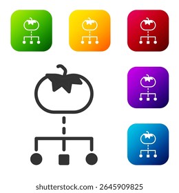 Black Genetically modified food icon isolated on white background. GMO fruit. Set icons in color square buttons. Vector