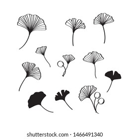 Black ginkgo leaves and nuts vector illustration set