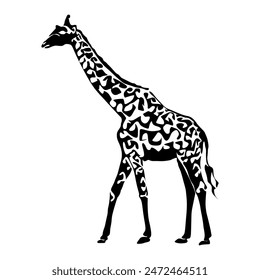 Black giraffe silhouette front view flat style, vector illustration isolated on white background. Savanna funny animal with long neck