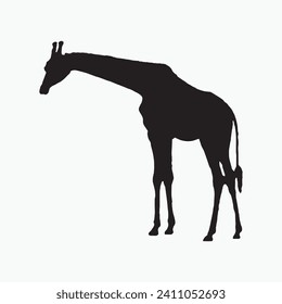 Black giraffe sill silhouette vector on white background