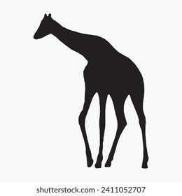 Black giraffe sill silhouette vector on white background