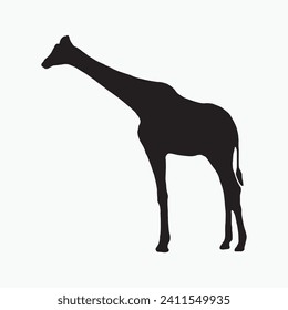 Black giraffe sill silhouette vector on white background