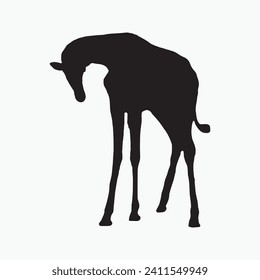 Black giraffe sill silhouette vector on white background