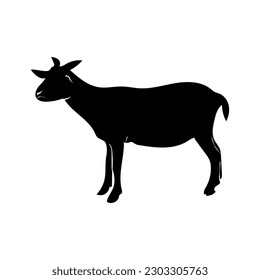 A black goat is silhouetted against a white background.