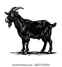 A black goat stands alone on a white background, looking alert and curious with its curved horns and shaggy fur, perfect for animal or wildlife themed projects