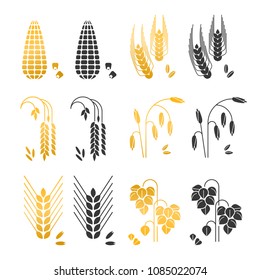 Black and gold cereal grains vector icons. rice, wheat, corn, rye, barley isolated on white background. Agriculture wheat and ear, barley and rye illustration