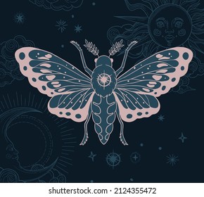 black and gold illustration of moth in black and gold colours with moon and sun