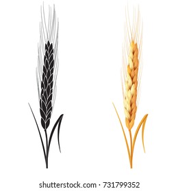 Black and gold wheat ears isolated on white background. Set of wheat ears. Background for farms and bakeries. Collection of elements for company logos, print products, web decor or other design.