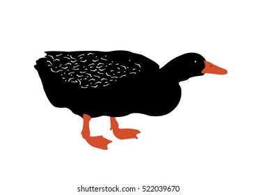 black goose