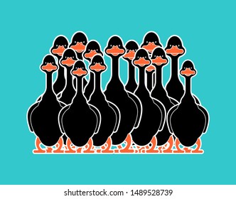 Black goose flock isolated cartoon. domestic waterfowl family. vector illustration