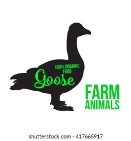 Black goose with lettering, poultry, vector illustration sketch, farm feathered animal, one color and the beautiful goose on a white background,