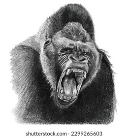 Black Gorilla vector illustration in detailed style. Gorilla for wall art, t-shirt, or poster. Digital art.