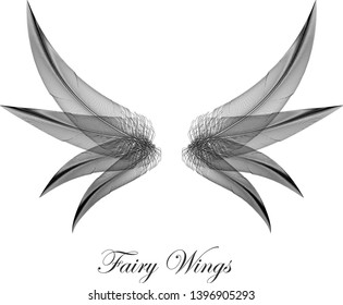 Black Gothic Wings - Dark Evil Magic Fairy Wings - Concept Vector Design Symbol on White
