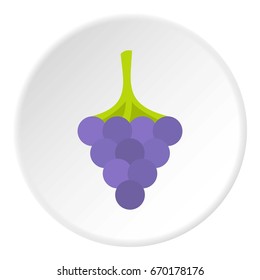 Black grape icon in flat circle isolated vector illustration for web