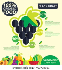 Black grape. Infographic template. vector illustration.