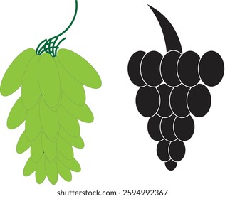 Black grape vector design illustration